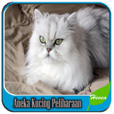 Aneka Kucing Peliharaan أيقونة