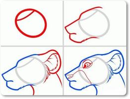 2 Schermata Esercitazione di disegno animale