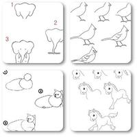 3 Schermata Esercitazione di disegno animale