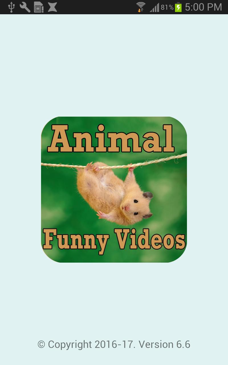 Animal Funny Videos APK for Android Download Animal Funny Videos APK for Android Download