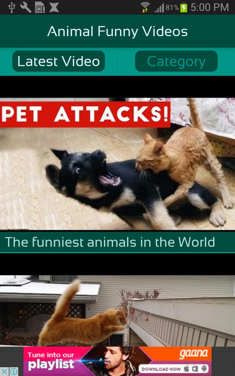 Animal Funny Videos APK for Android Download