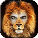 Animal Face Photo Editor APK
