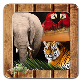 Animal Frames for Pictures icon