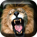 Animal Live Wallpaper APK