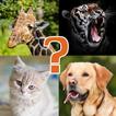 Animal Quiz - Learn All Animal