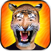Animal Head Photo Editor - Face Stickers For Pics
