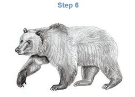 Animal Pencil Sketching Step by Step capture d'écran 2