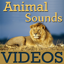 Animal Sounds With VIDEOs APK