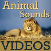 Animal Sounds With VIDEOs icon