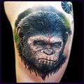 Animal Tattoos