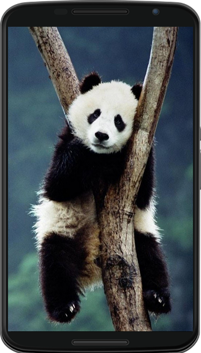 Animal Wallpaper APK for Android – Download Animal Wallpaper APK Latest Version from Animal Wallpaper APK for Android – Download Animal Wallpaper APK Latest Version from