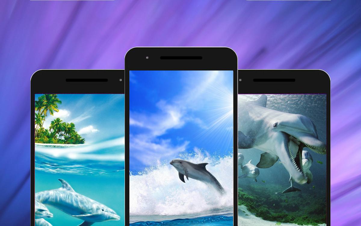 Android 用の イルカの壁紙 Apk をダウンロード Android 用の イルカの壁紙 Apk をダウンロード