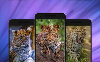 1 Schermata Leopard Wallpapers