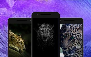 Leopard Wallpapers screenshot 2