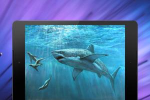 Shark Wallpapers imagem de tela 2