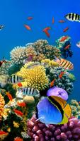 Coral Fondos Animados captura de pantalla 3