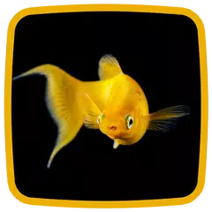 Baixar Peixinho-Dourado Fundo HD APK