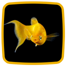 Goldfish Live Wallpaper 💛 Background Pictures APK