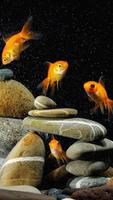 Goldfish Live Wallpaper syot layar 1
