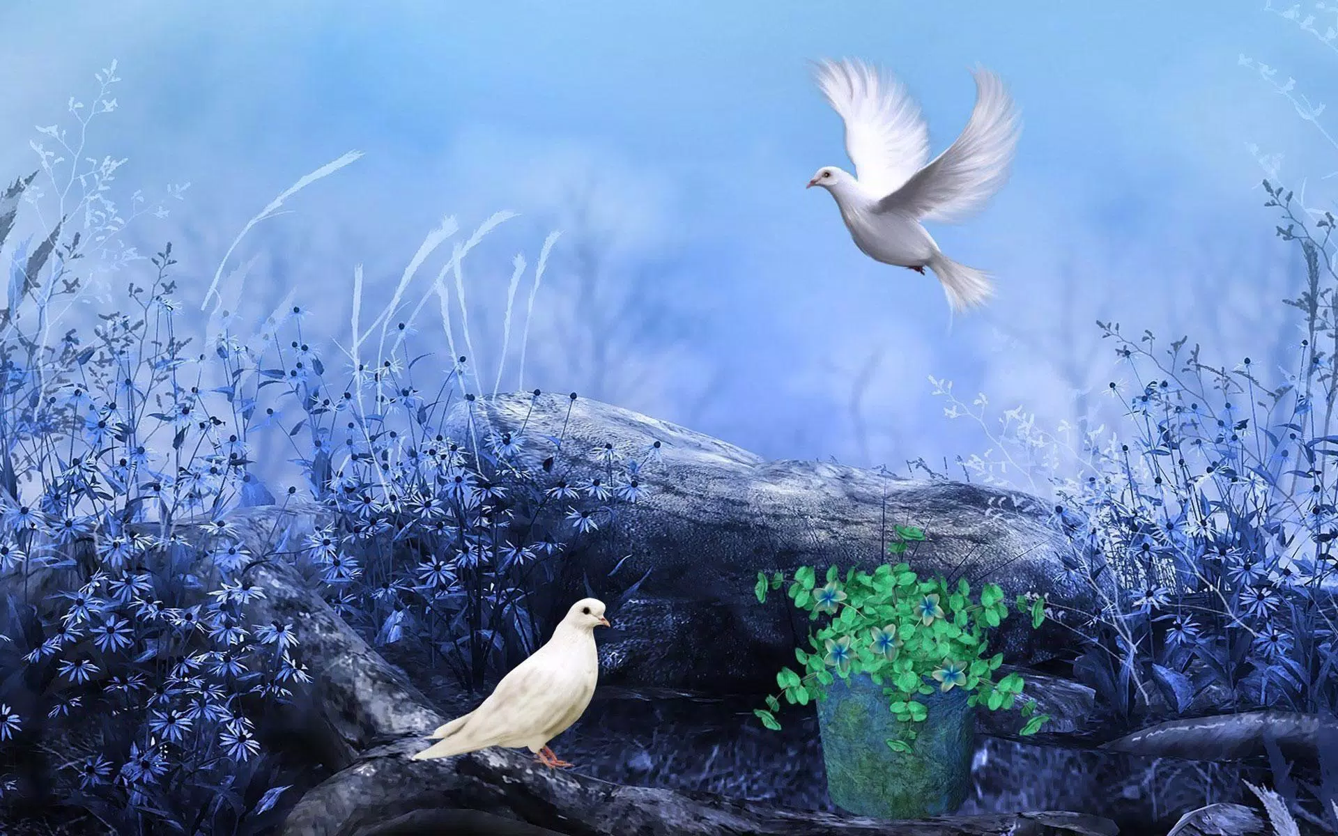 Dove Live Wallpaper APK for Android Download