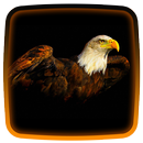 Adler Live-Hintergründe APK