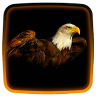 Eagles Live Wallpaper icon