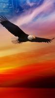 Eagles Live Wallpaper پوسٹر