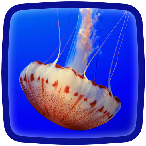 Jellyfish Live Wallpaper