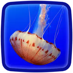 Jellyfish Live Wallpaper APK download