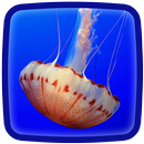 Jellyfish Live Wallpaper APK