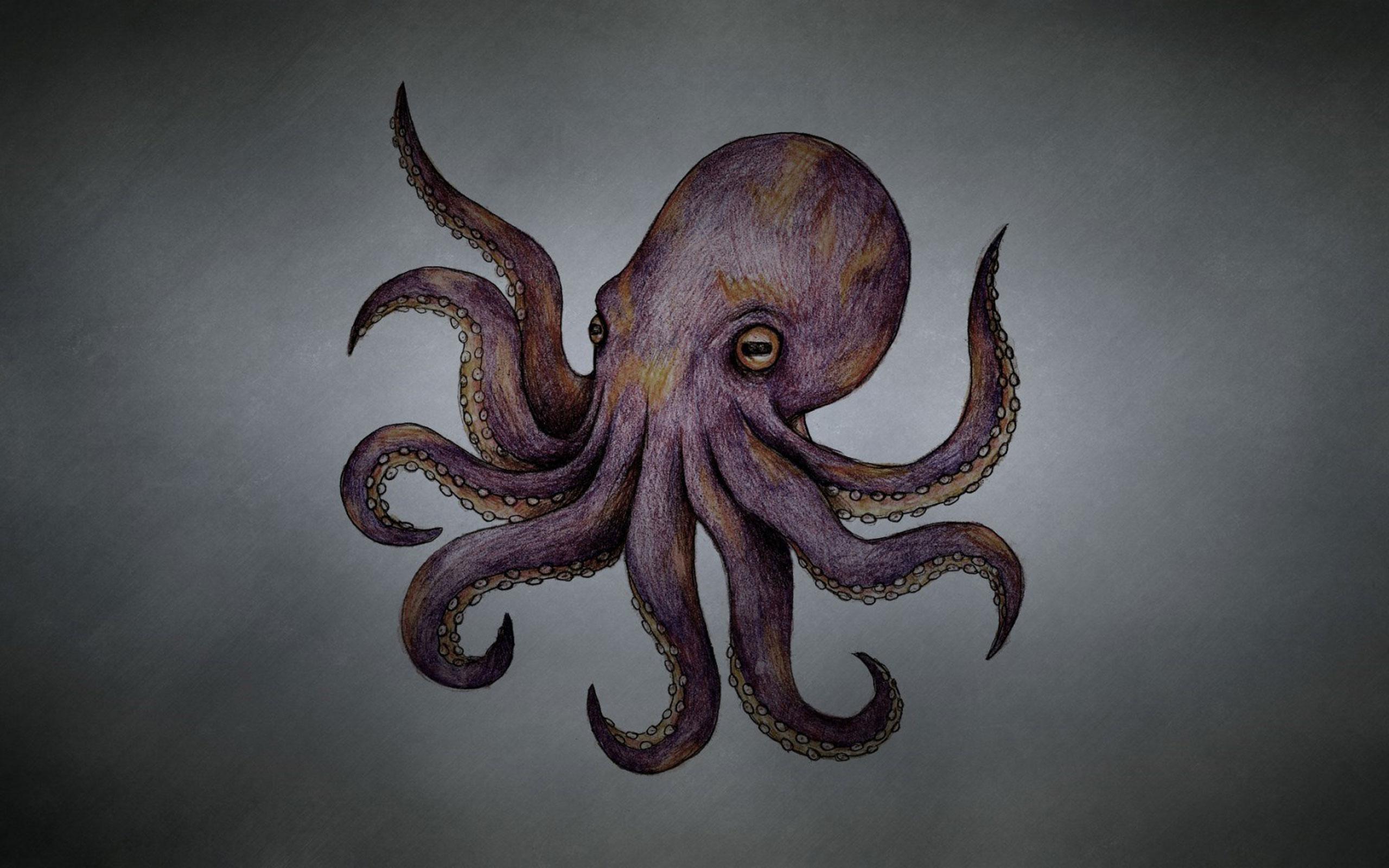 Octopus Live Wallpaper ภ า พ ห น า จ อ 5.