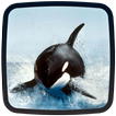 Orca Live Wallpapers 🐋 Beautiful Backgrounds