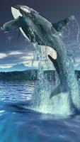 Orca Live Wallpapers 🐋 Beautiful Backgrounds পোস্টার