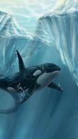 Orca Live Wallpapers 🐋 Beautiful Backgrounds capture d'écran 3