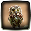 Owl Live Wallpaper