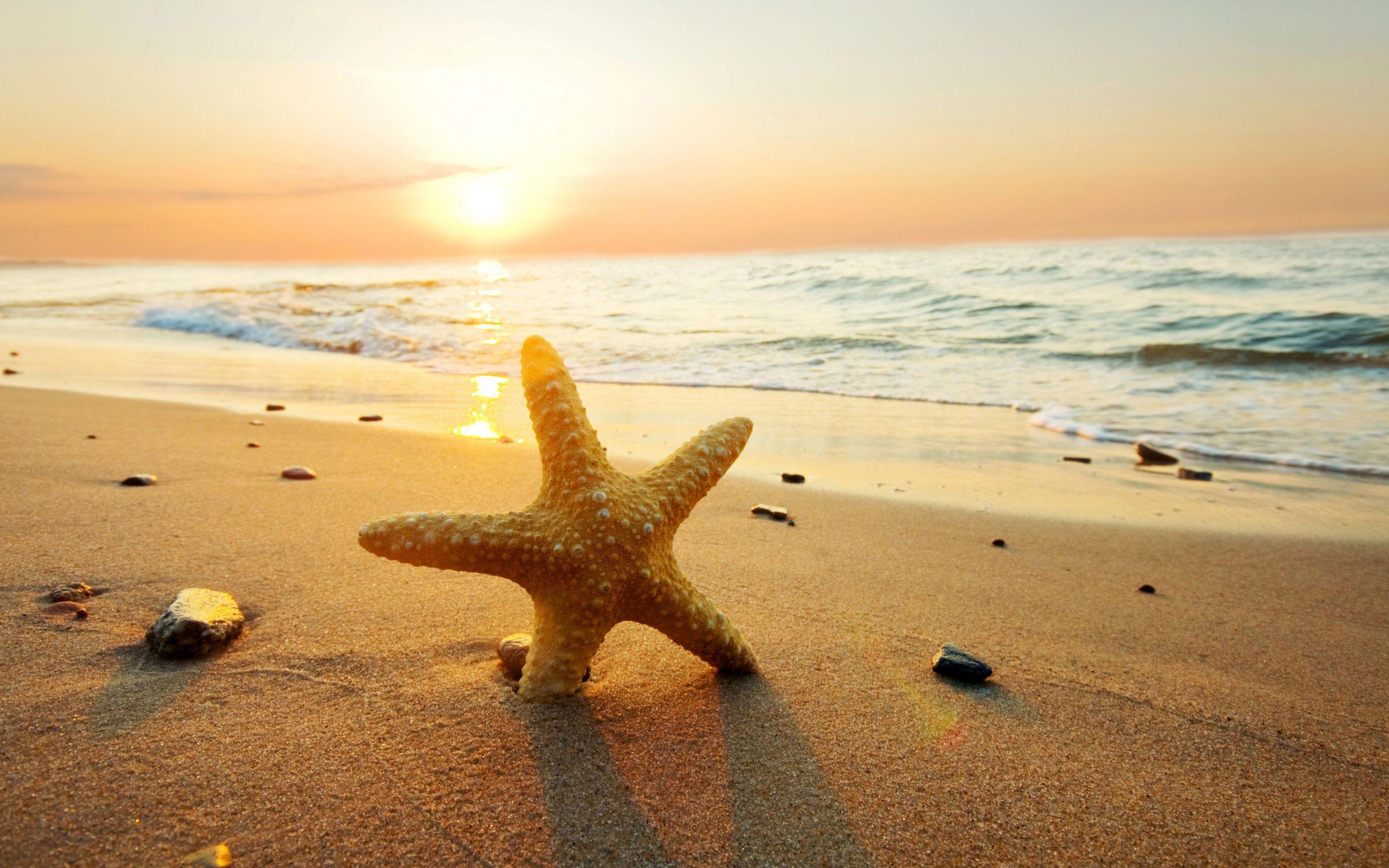 3000 Wallpaper Cantik Laut Paling Baru 3000 Wallpaper Cantik Laut Paling Baru