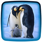 Penguin Live Wallpaper icône