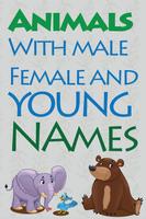 Animals with Male, Female and Young Names APK pour Android Télécharger