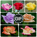 Цветы Gifs Images APK