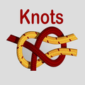 Animated Knots 3D