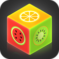 Wood Block Puzzle Game