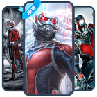 Ant Man Wallpaper 4K 2018 Free icon