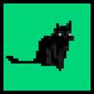 Hungry Cat