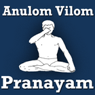 Anulom Vilom Pranayam VIDEOs biểu tượng