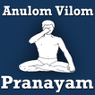 Anulom Vilom Pranayam VIDEOs