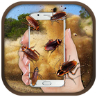 Cockroach in Phone Funny Prank icon