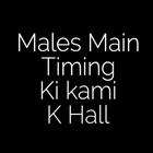 Males Mai Timing Ki Kami icône