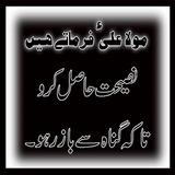 Hazrat Ali R.A Ke Aqwal icon