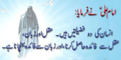Hazrat Ali R.A Ke Aqwal screenshot 3