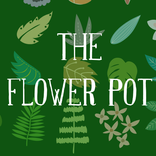 The Flower Pot